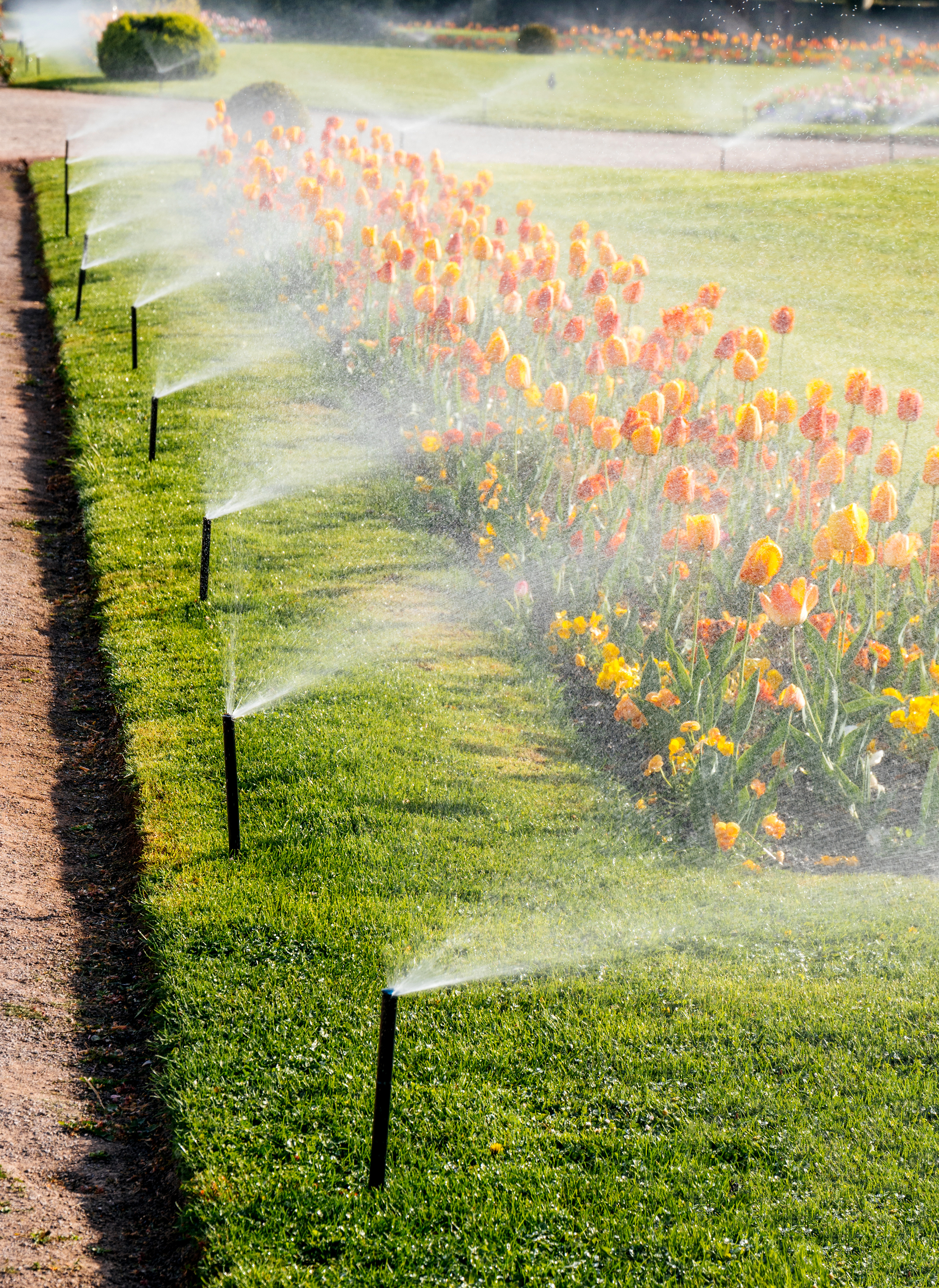 A garden with flowers and sprinklers on the grass.
